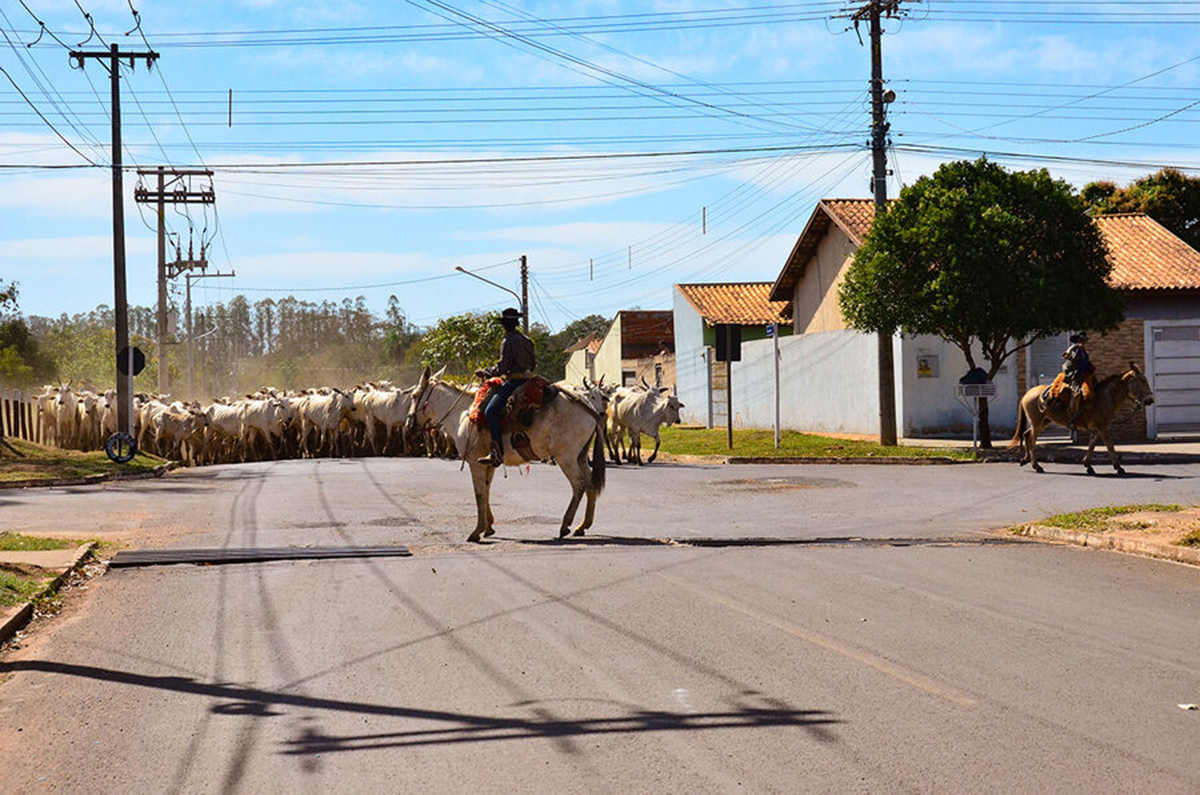 Na estreia de Pantanal em praça, berrante de peão é furtado em comitiva -  Interior - Campo Grande News