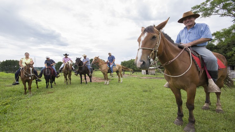 cavalo pulando no pantanal nhecoladia