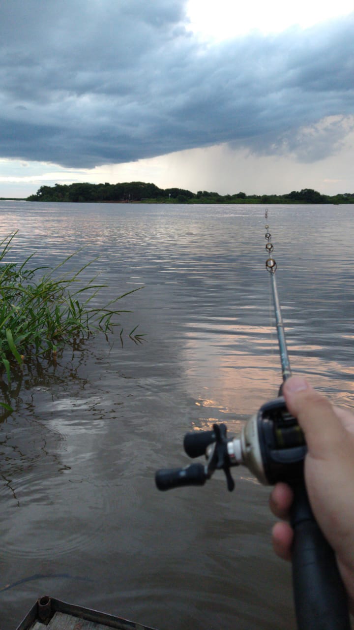 BRASIL TEM GRANDE POTENCIAL PARA PROTAGONISMO NA PESCA ESPORTIVA ...