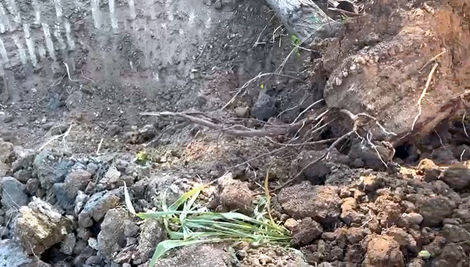 corumba_operação destroi trilhas clandestinas na fronteira bolivia corumba2