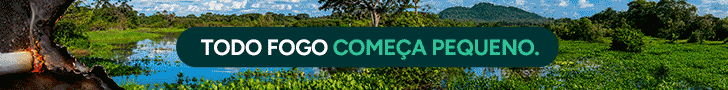 Camara Municipal de Corumbá/Campanha de Queimadas